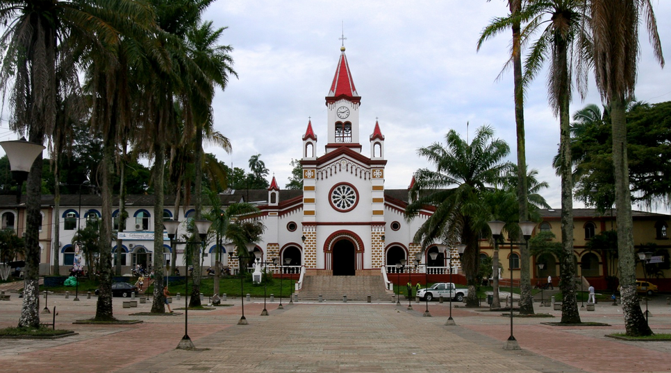 Consulta Impuesto Vehicular en Caquetá