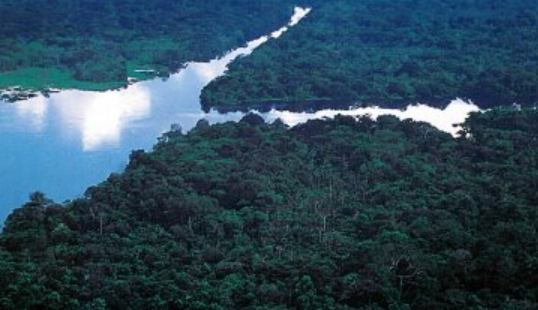 Pago Impuesto Vehicular en Puerto Arica Colombia