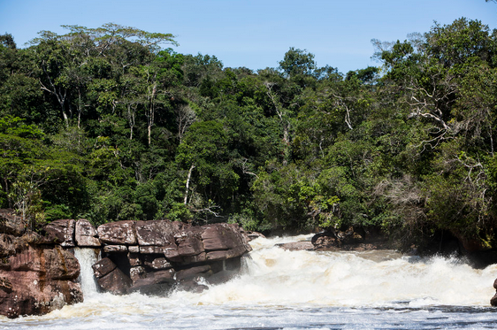 Pago Impuesto Vehicular en Mirití Paraná Colombia