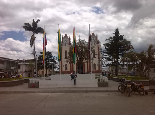 Pago Impuesto Vehicular en El Tambo Colombia