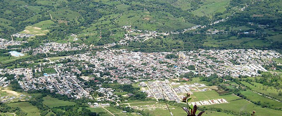 Pago Impuesto Vehicular en La Plata Colombia